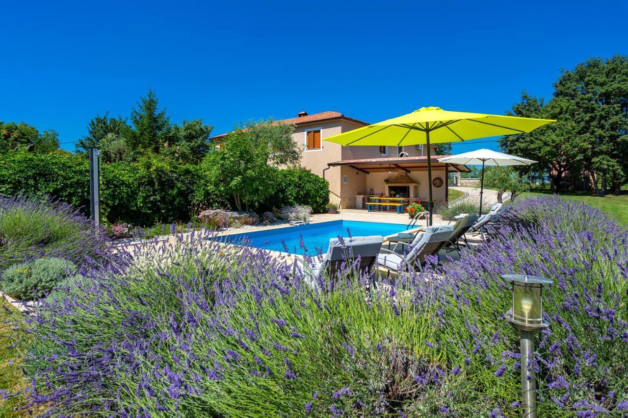 Villa Krizanci Žminj المظهر الخارجي الصورة